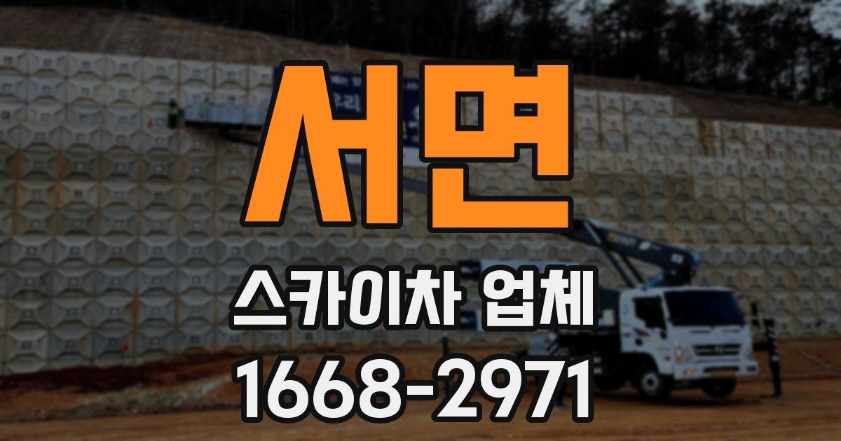 서면 스카이차 업체