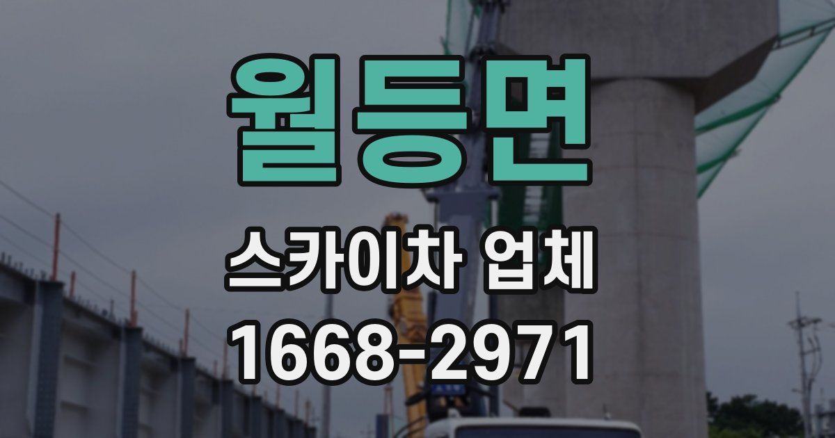 월등면 스카이차 업체