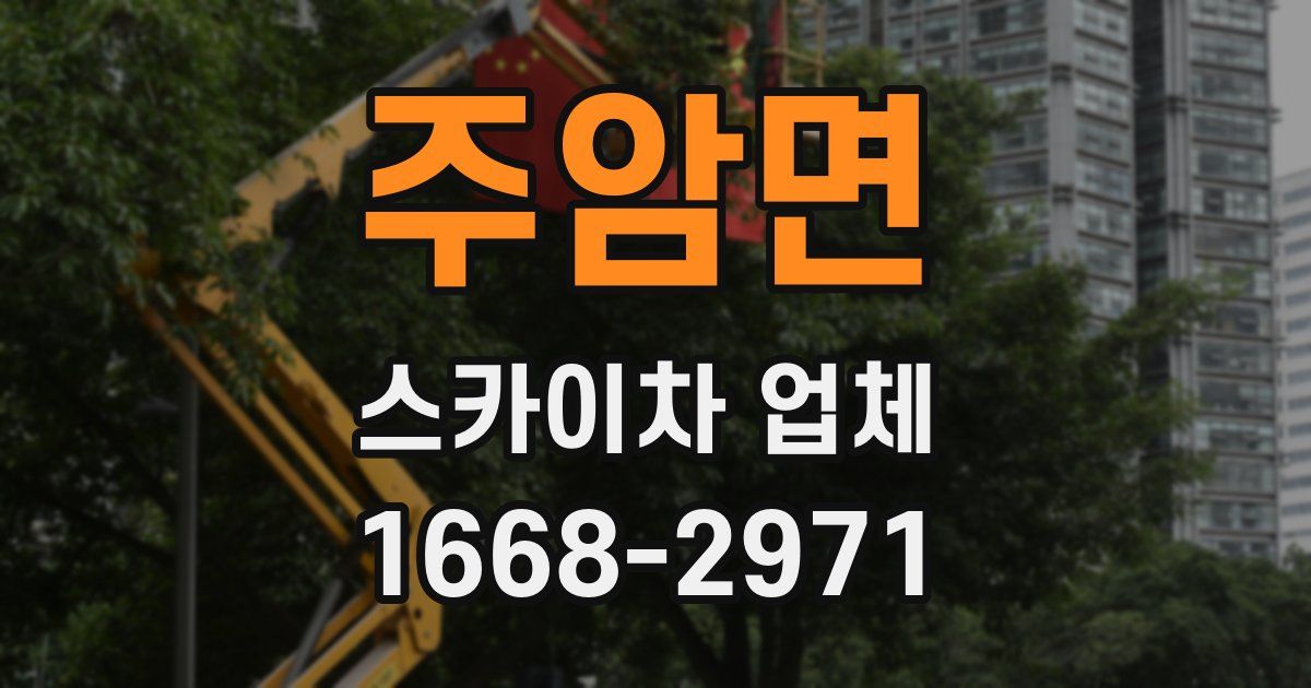 주암면 스카이차 업체