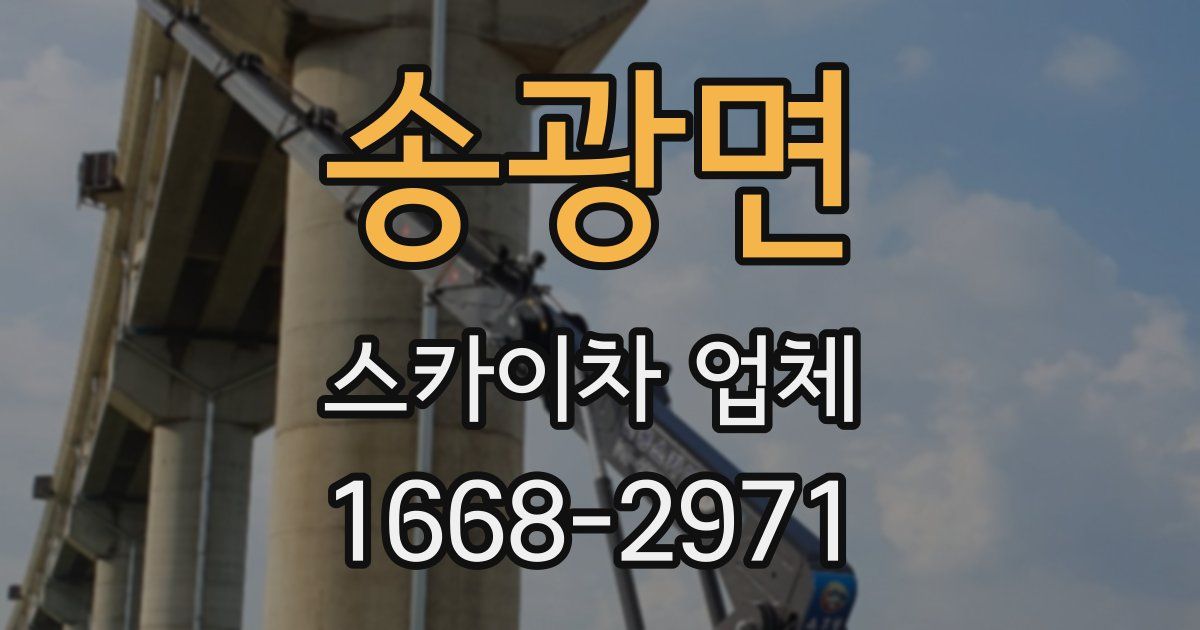 송광면 스카이차 업체
