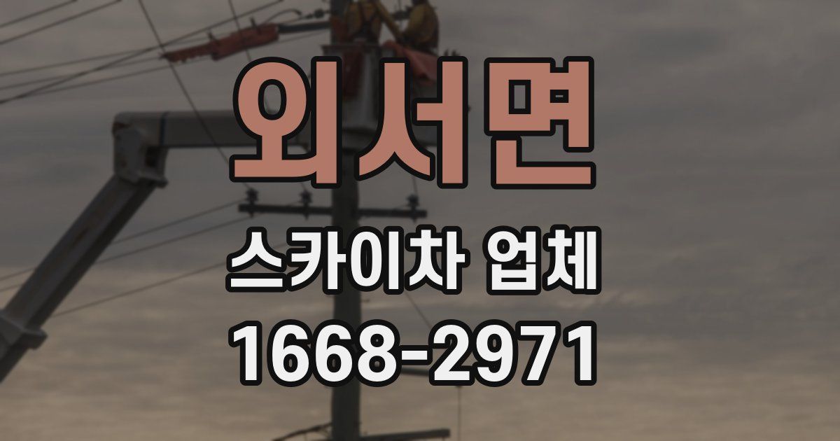 외서면 스카이차 업체