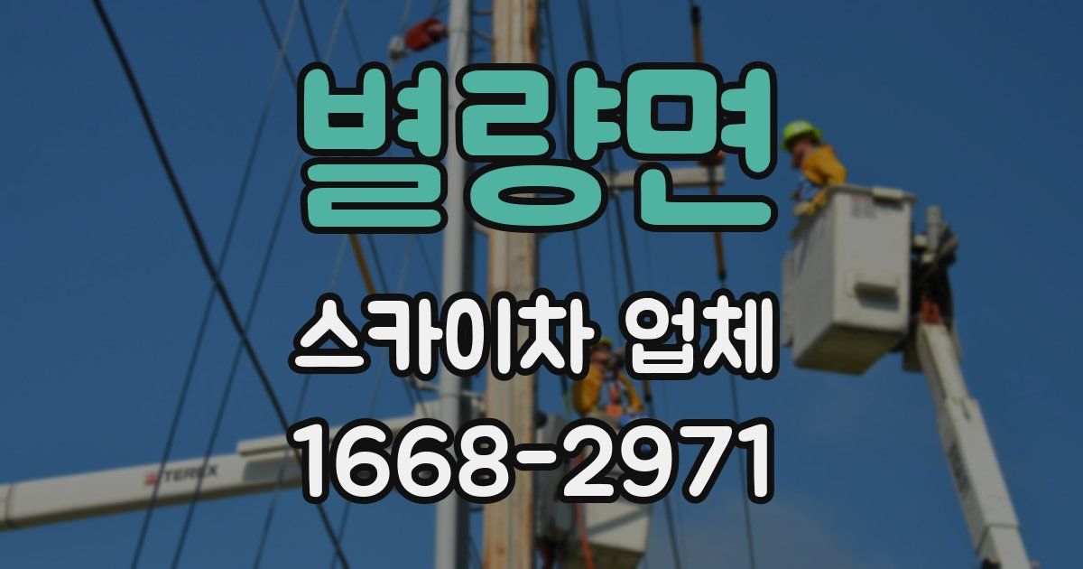 별량면 스카이차 업체
