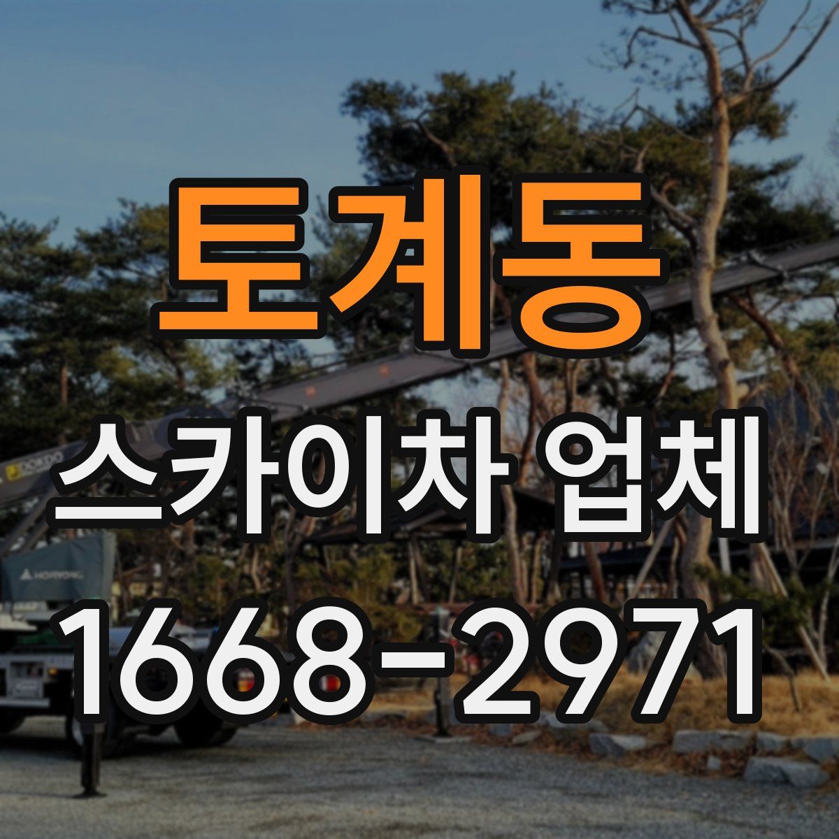 토계동 스카이차 업체