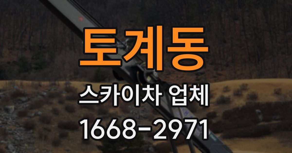 토계동 스카이차 업체