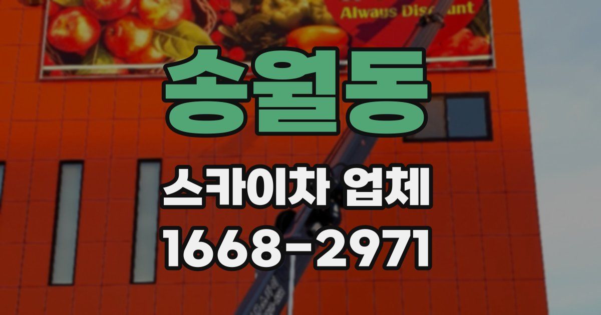 송월동 스카이차 업체