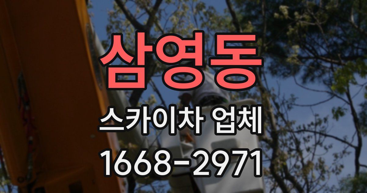 삼영동 스카이차 업체