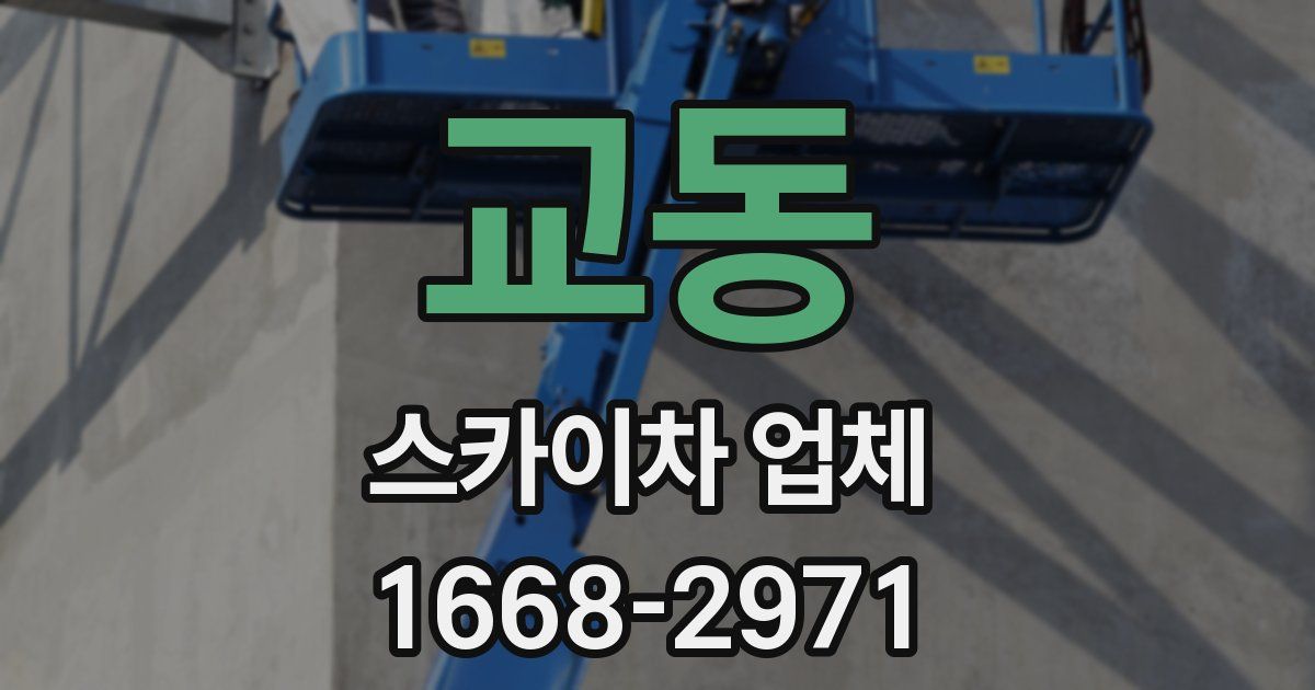 교동 스카이차 업체