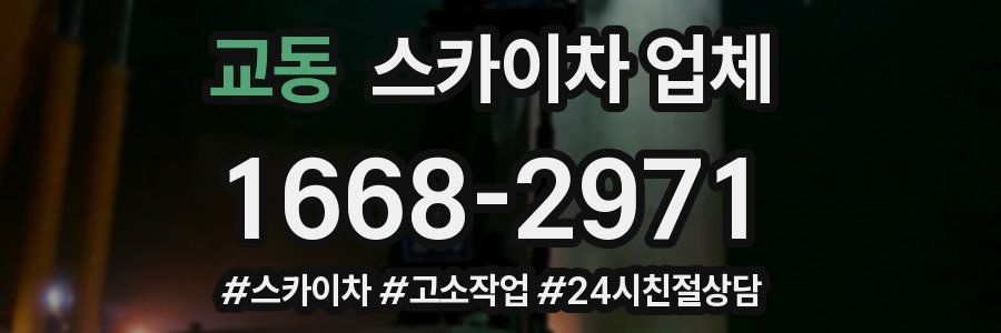 교동 스카이차 업체