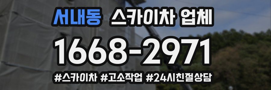 서내동 스카이차 업체
