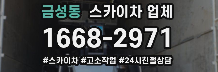 금성동 스카이차 업체