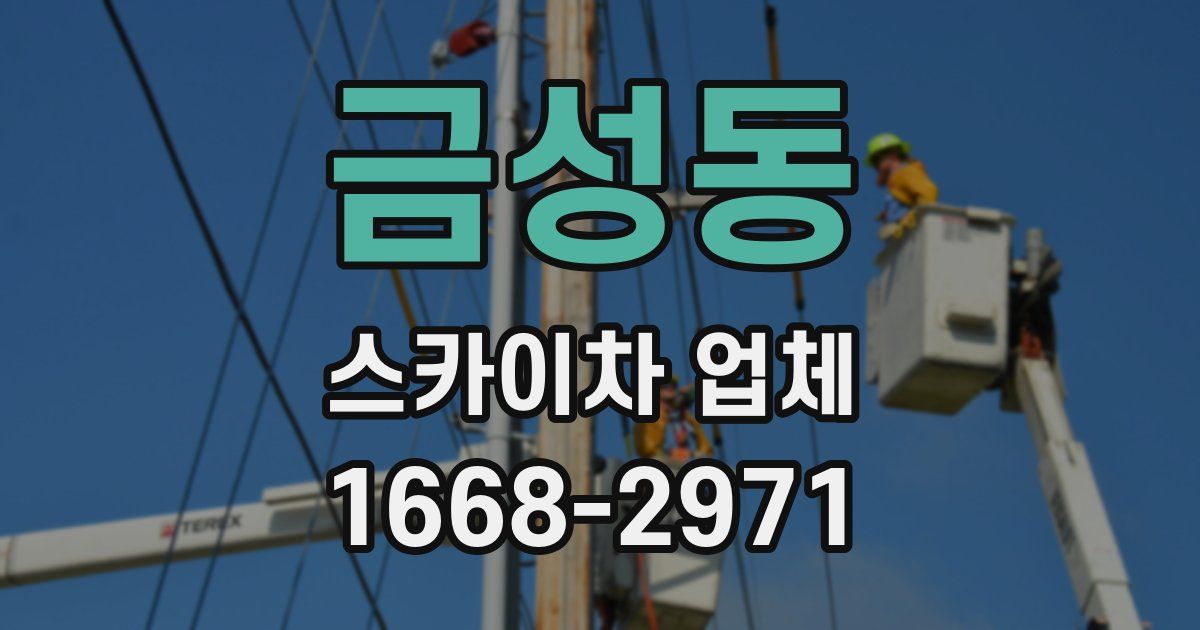 금성동 스카이차 업체