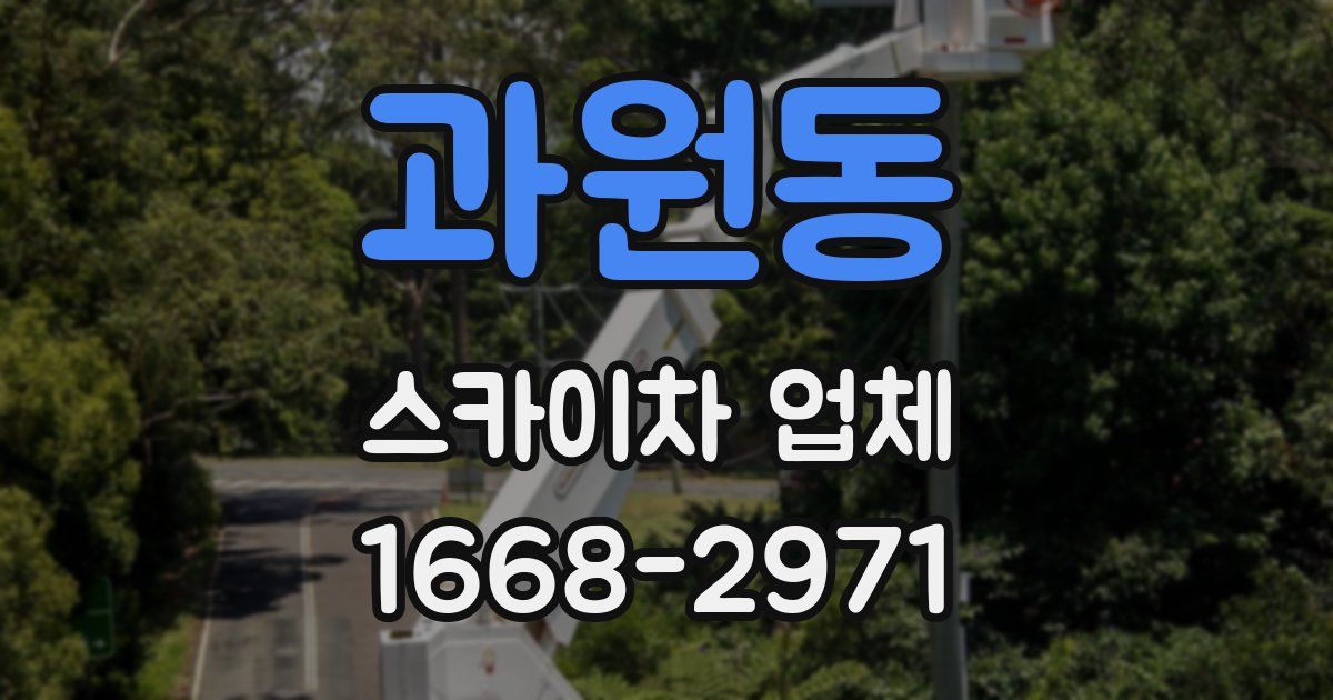 과원동 스카이차 업체