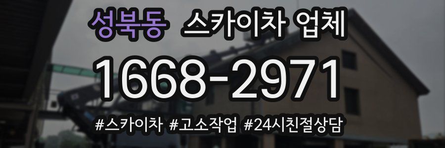성북동 스카이차 업체