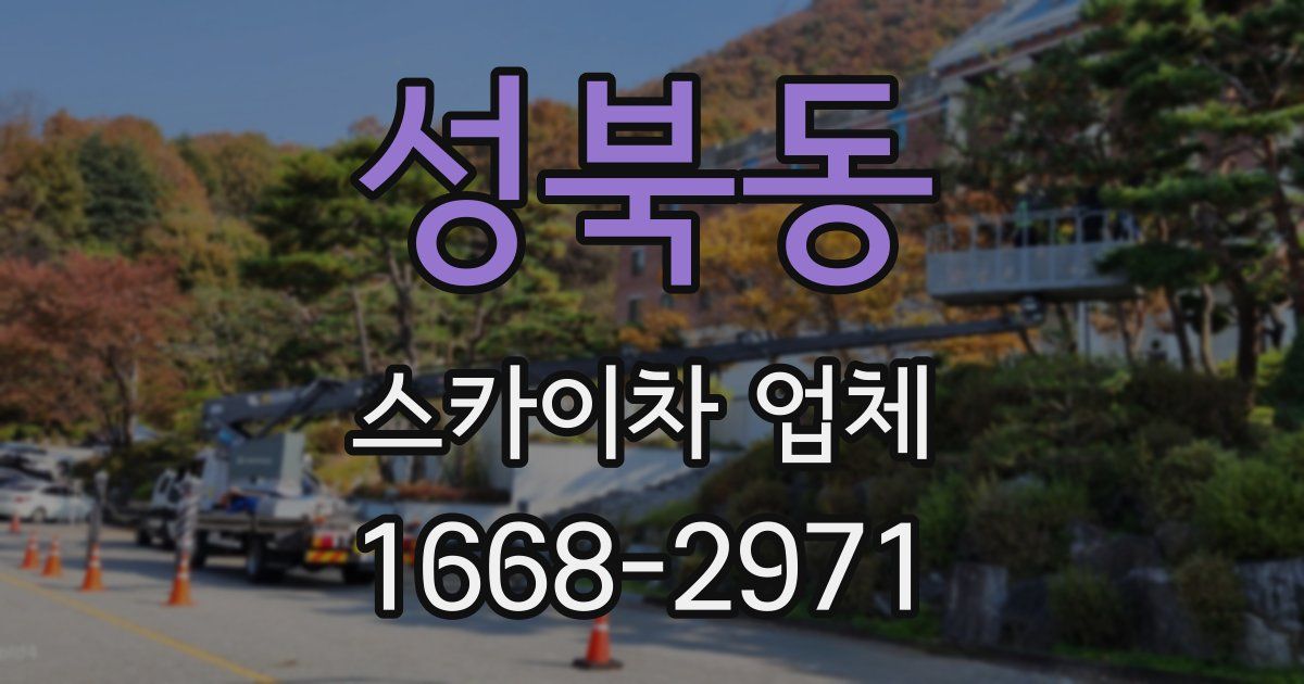 성북동 스카이차 업체