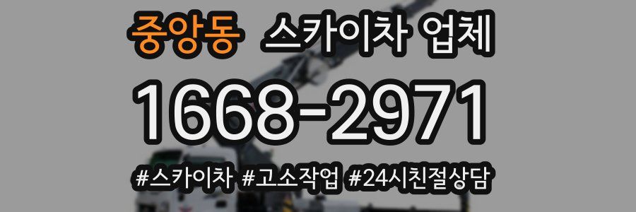 중앙동 스카이차 업체