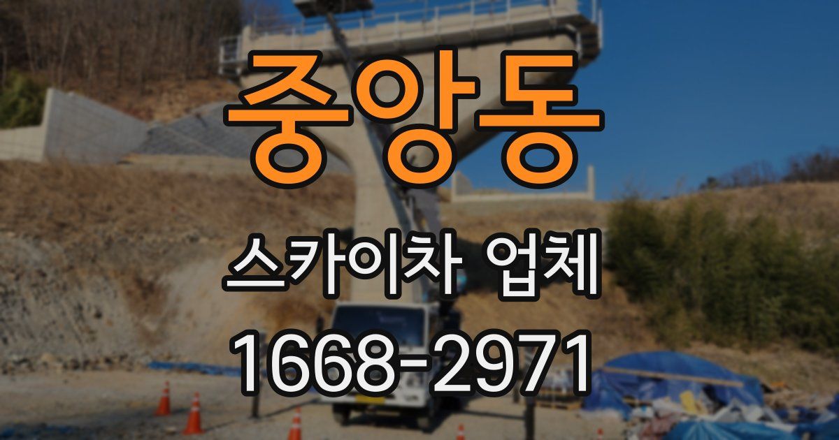 중앙동 스카이차 업체