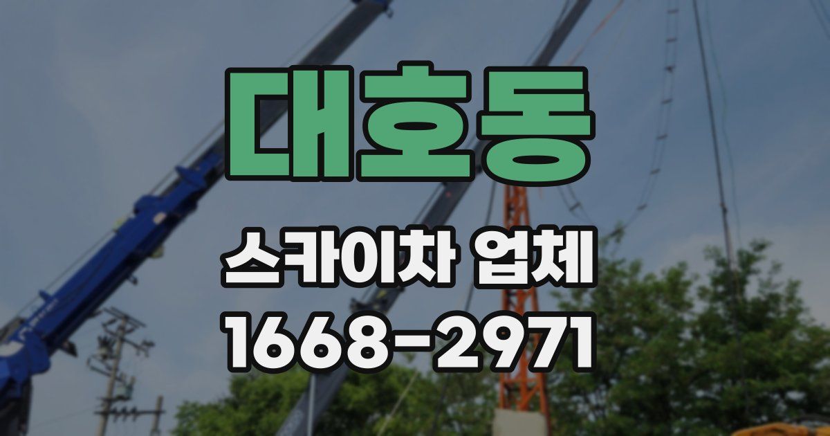 대호동 스카이차 업체