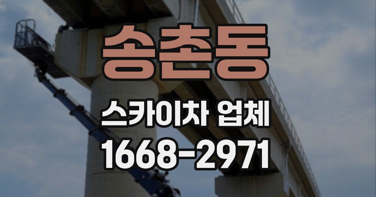 송촌동 스카이차 업체