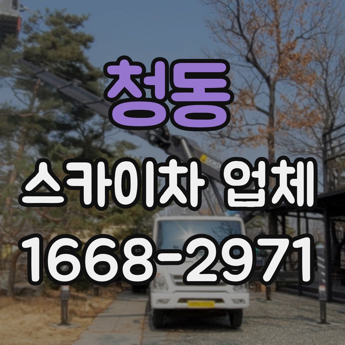 청동 스카이차 업체