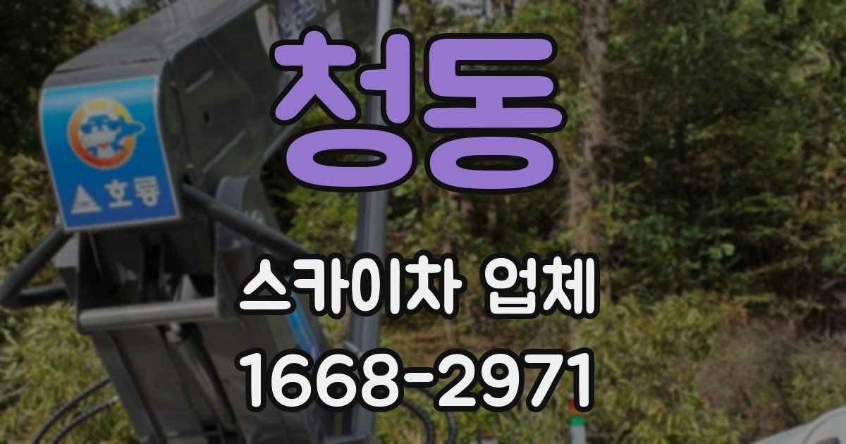 청동 스카이차 업체