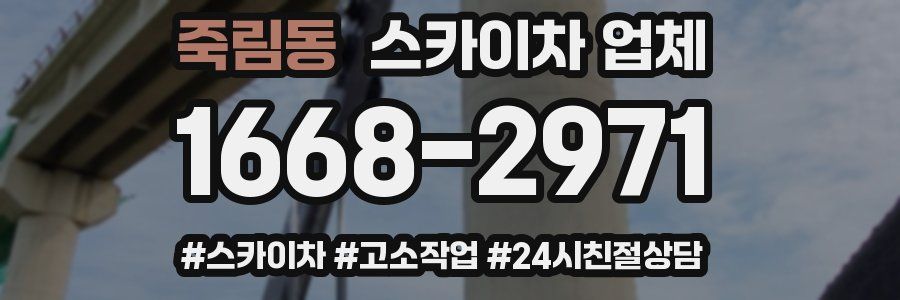 죽림동 스카이차 업체
