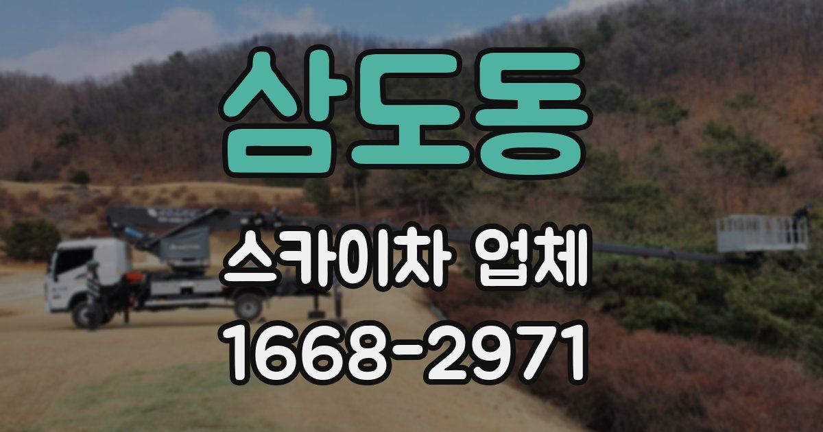 삼도동 스카이차 업체