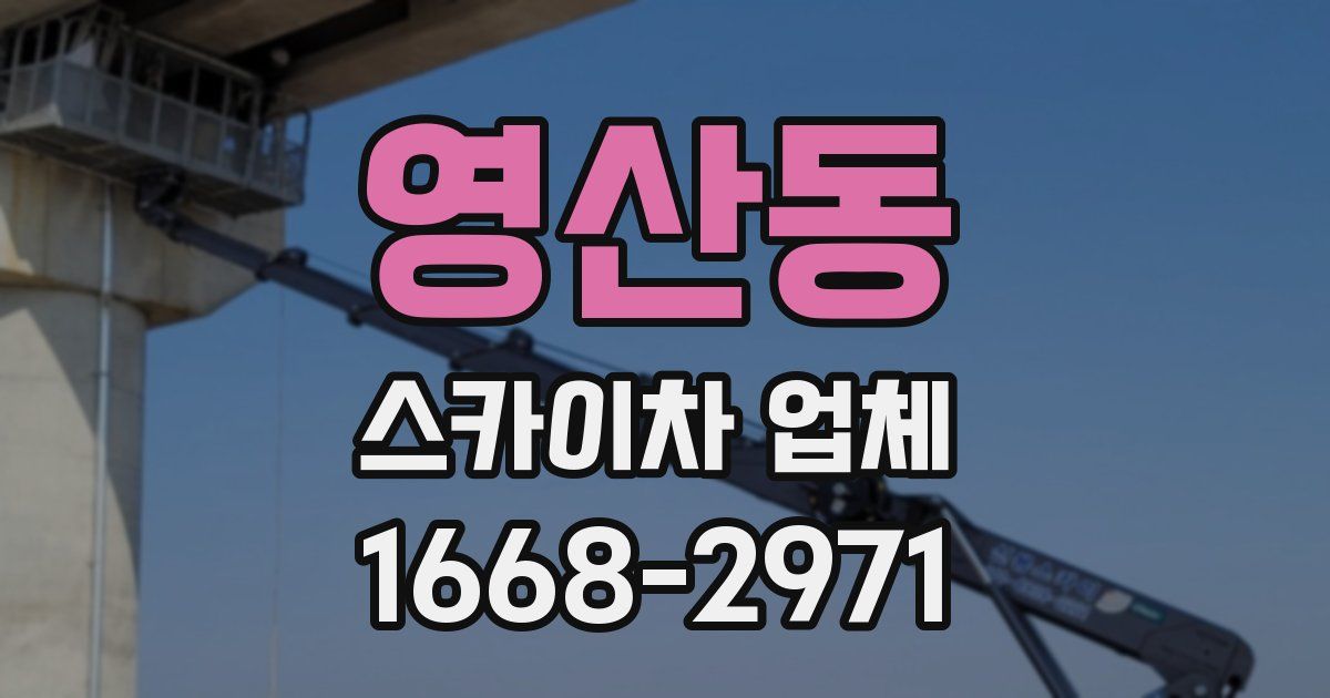 영산동 스카이차 업체