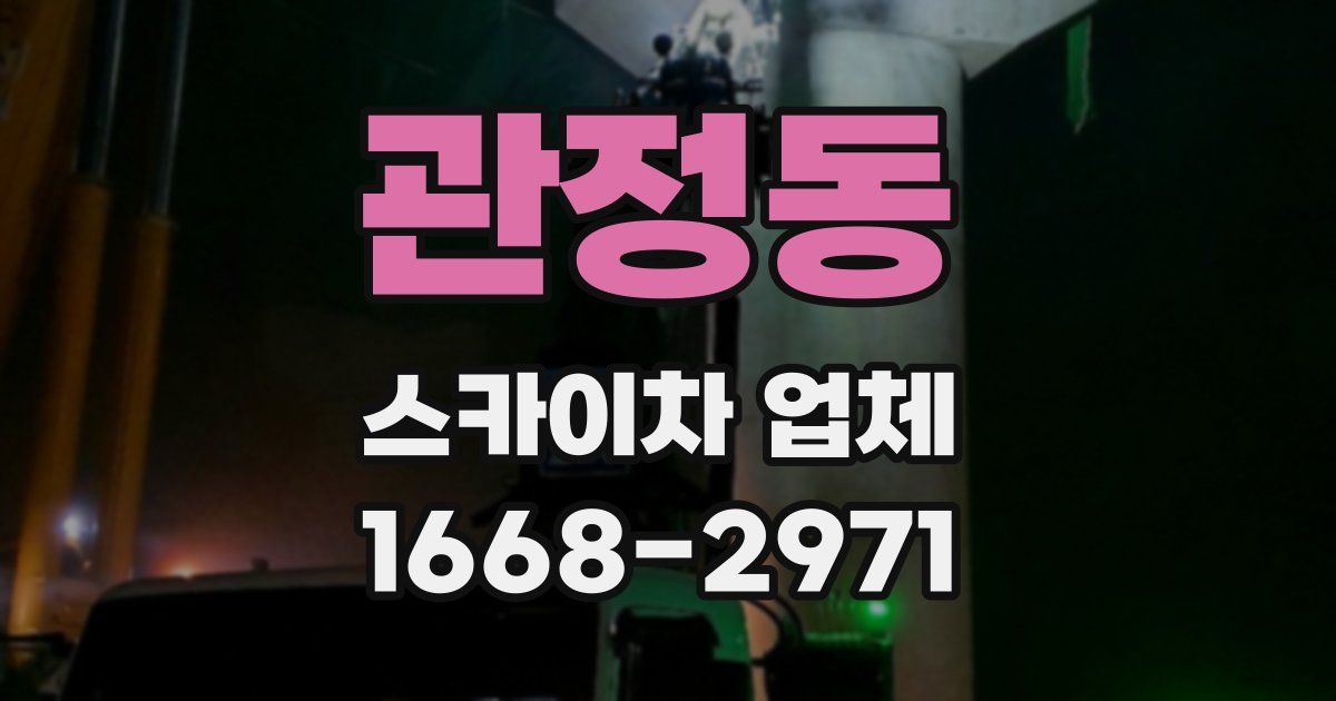 관정동 스카이차 업체