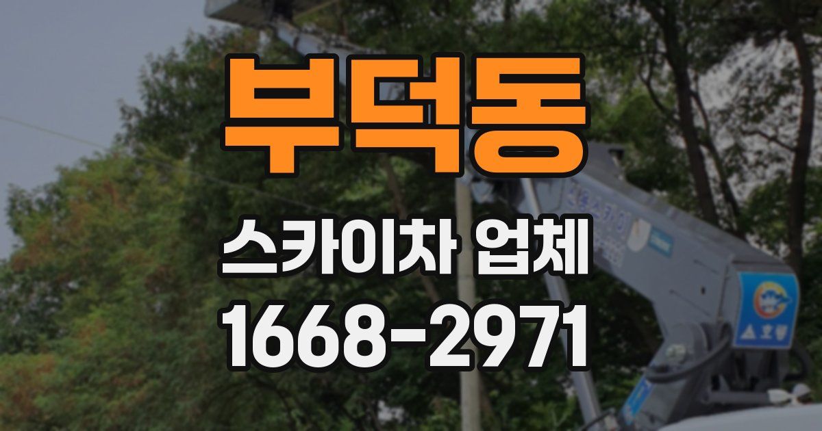 부덕동 스카이차 업체