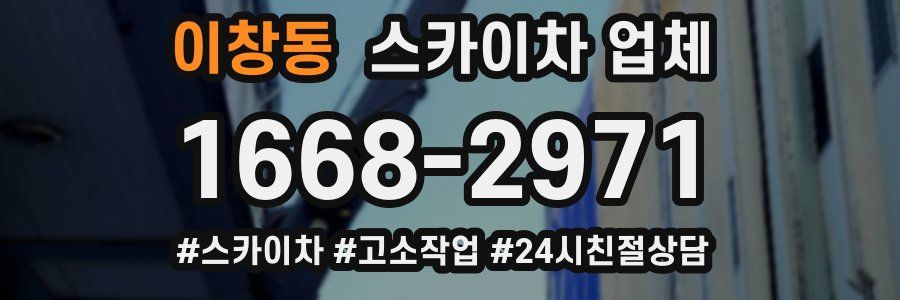 이창동 스카이차 업체