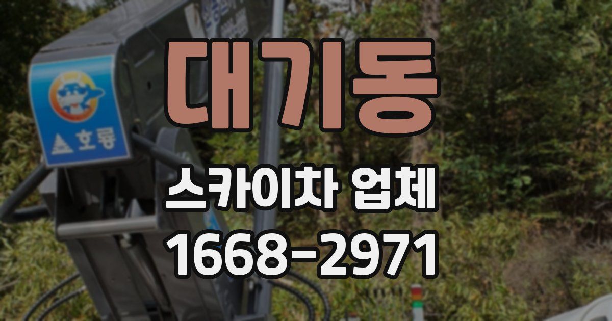 대기동 스카이차 업체