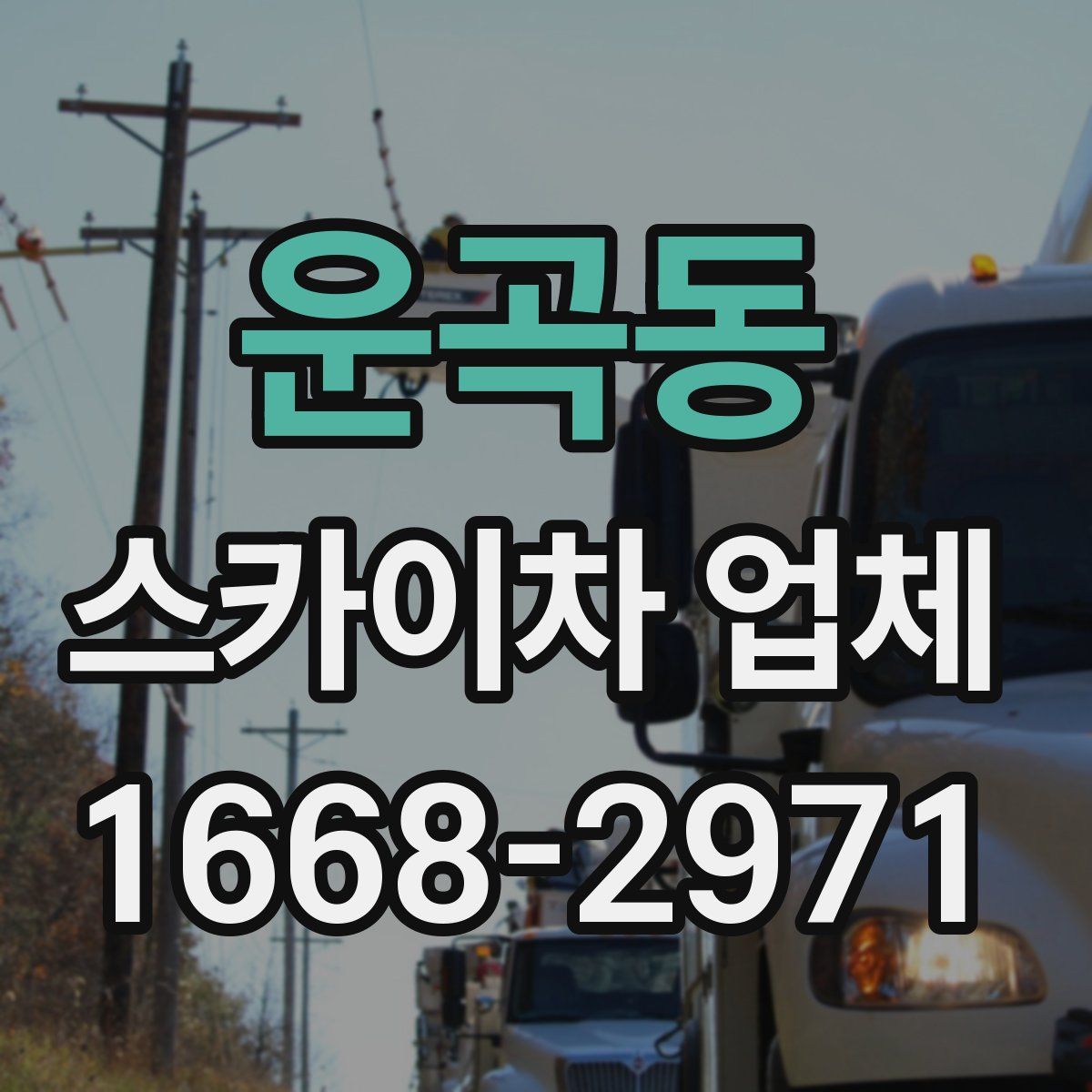 운곡동 스카이차 업체