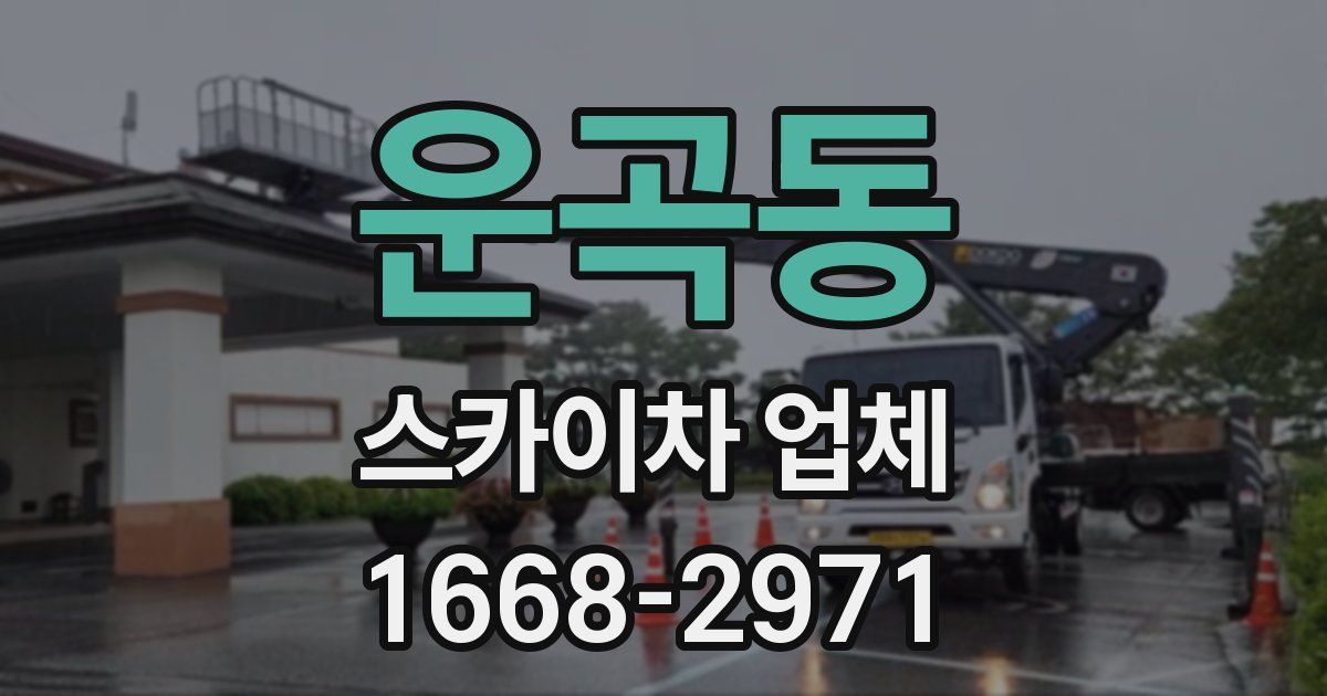 운곡동 스카이차 업체