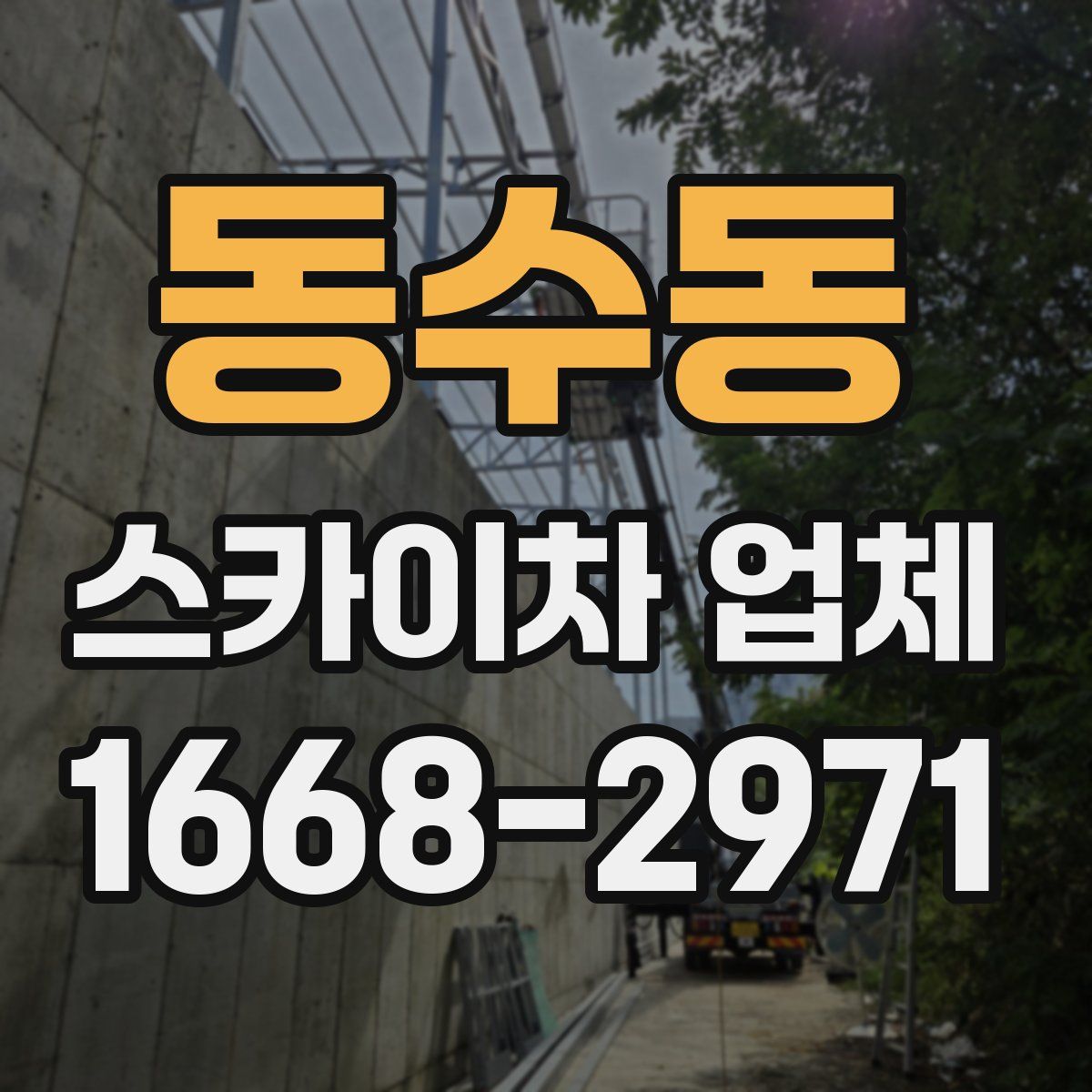 동수동 스카이차 업체