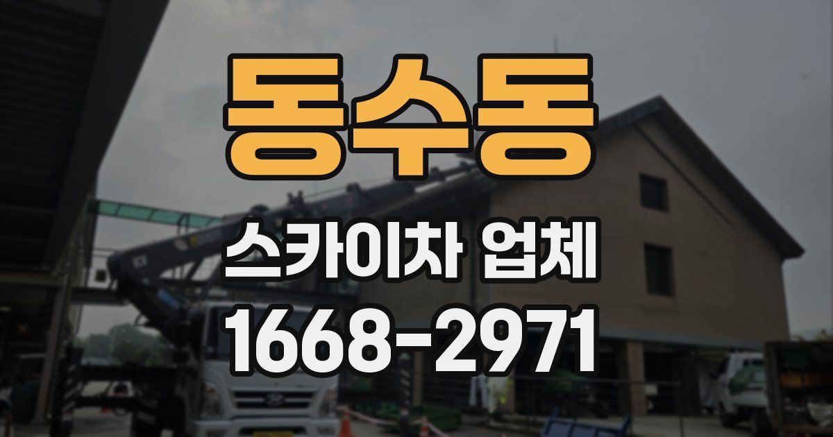 동수동 스카이차 업체