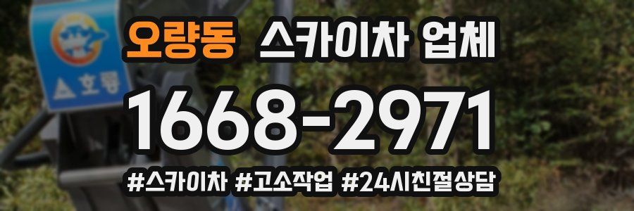 오량동 스카이차 업체