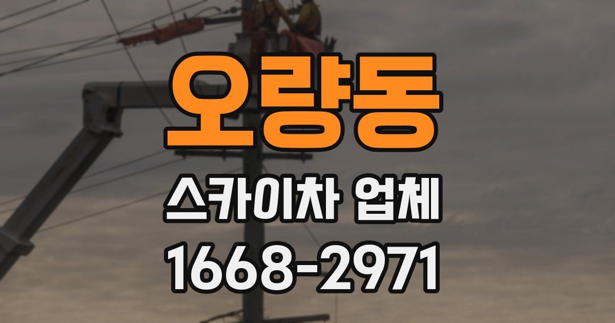 오량동 스카이차 업체