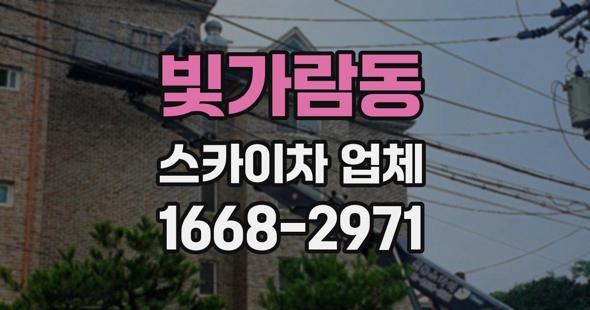 빛가람동 스카이차 업체