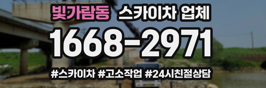 빛가람동 스카이차 업체