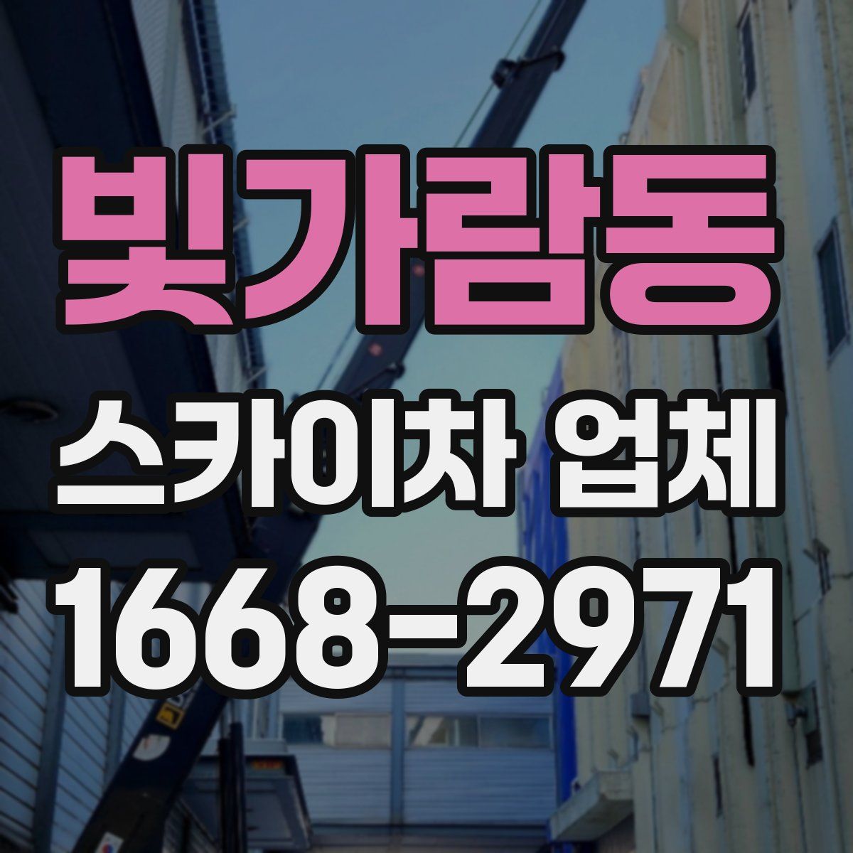 빛가람동 스카이차 업체