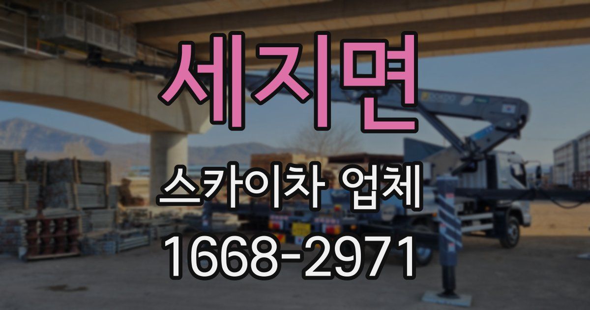 세지면 스카이차 업체