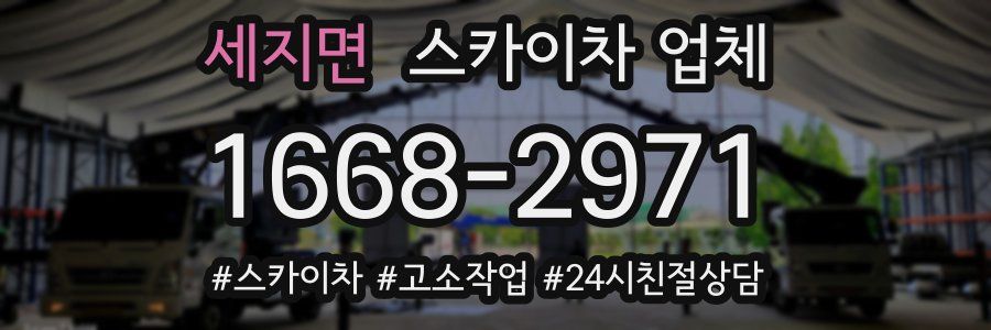 세지면 스카이차 업체