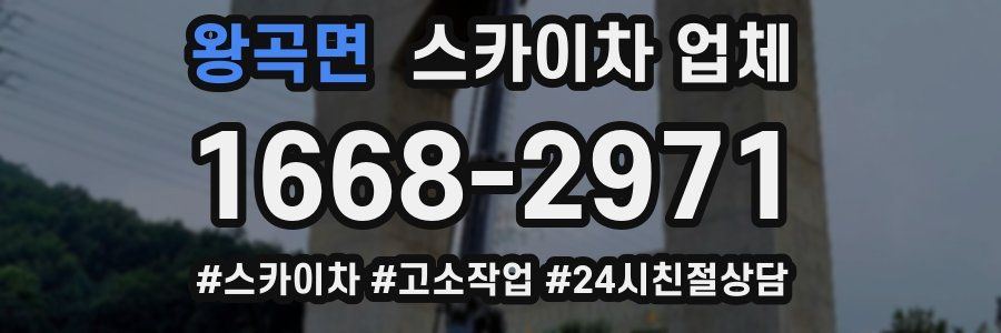 왕곡면 스카이차 업체