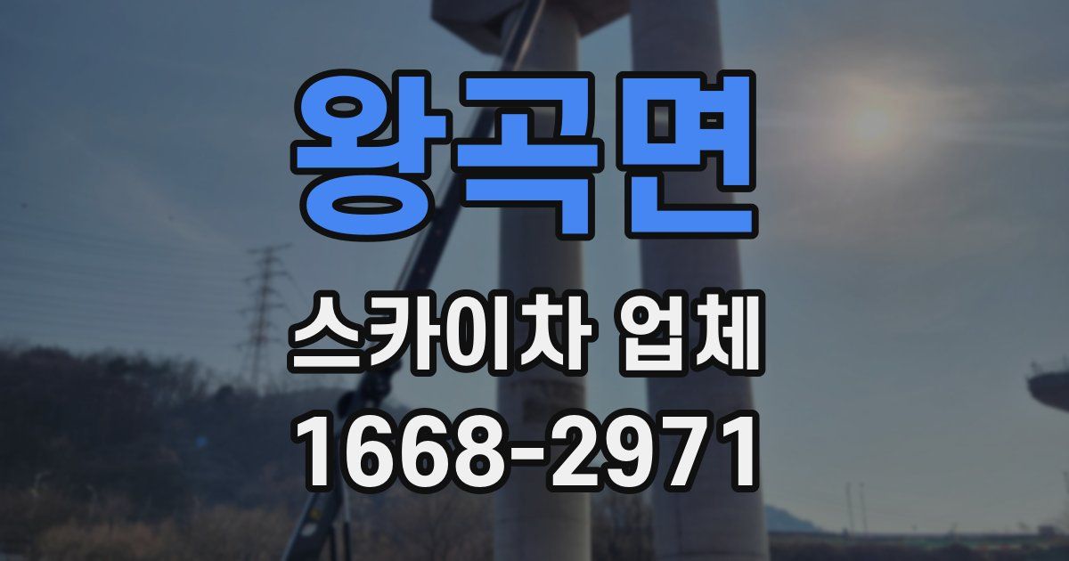 왕곡면 스카이차 업체