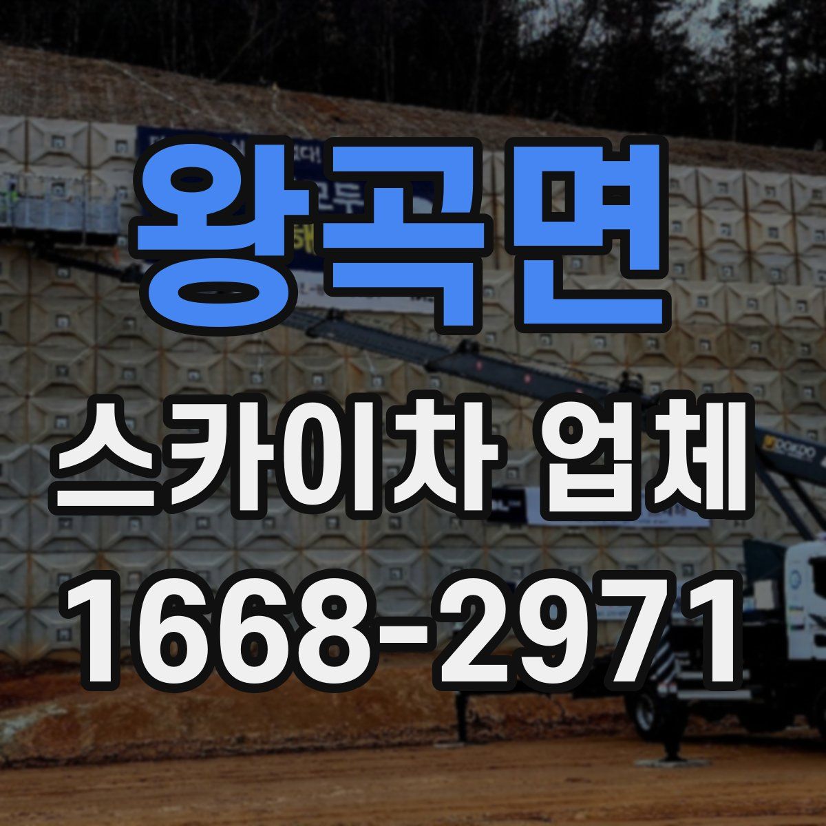 왕곡면 스카이차 업체