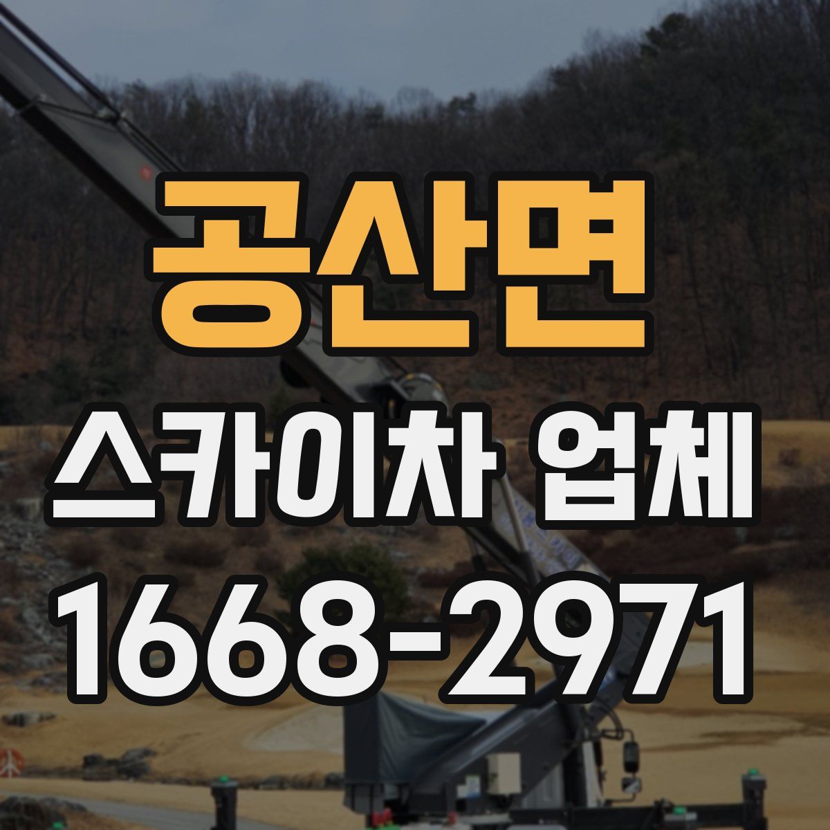 공산면 스카이차 업체