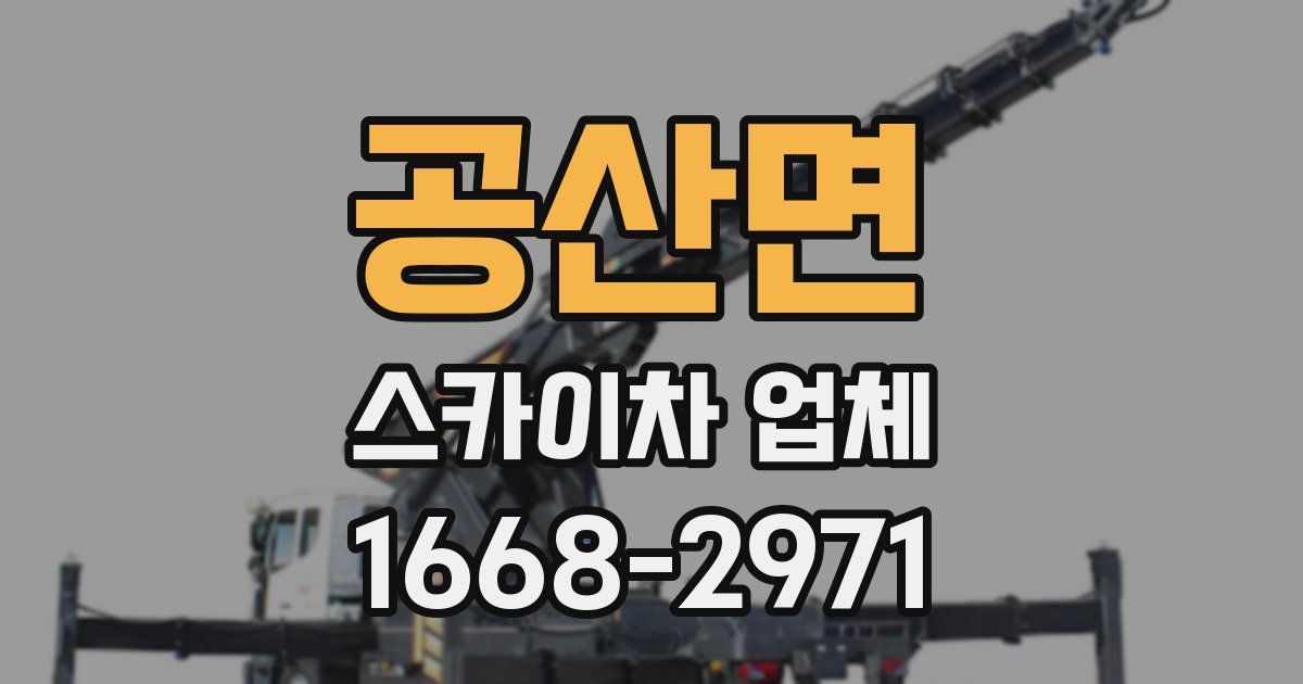 공산면 스카이차 업체