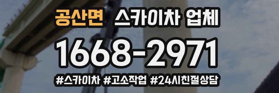 공산면 스카이차 업체