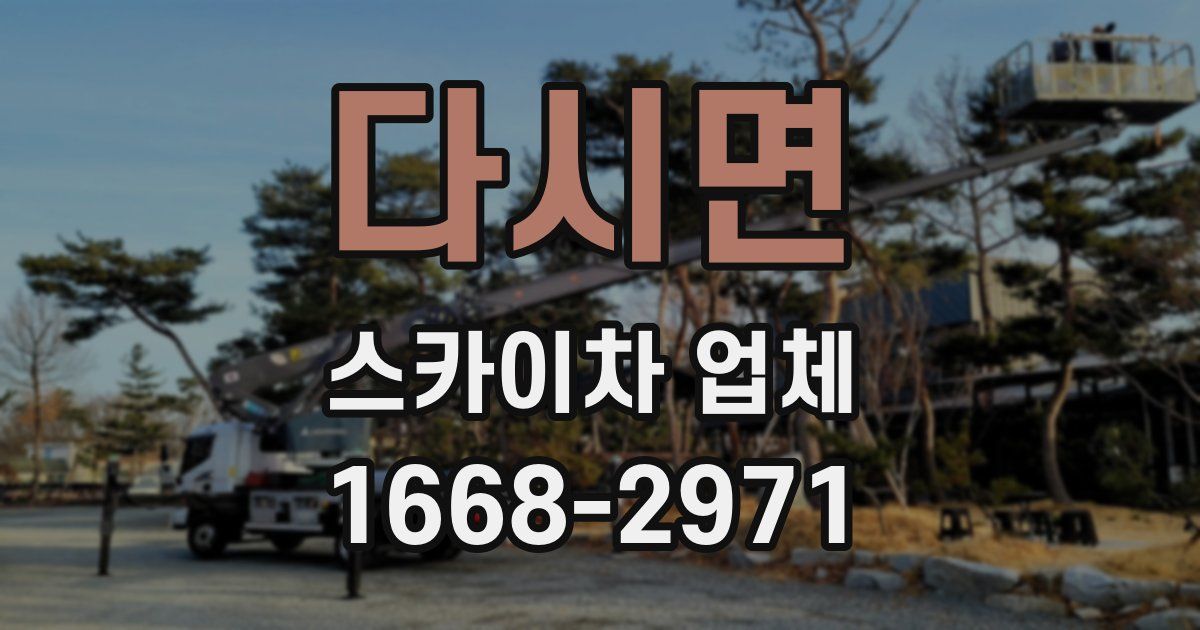 다시면 스카이차 업체
