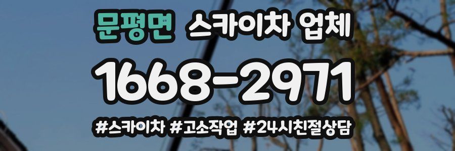 문평면 스카이차 업체